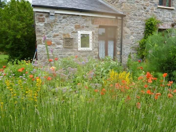 Middle Mill Bed and Breakfast Kidwelly Buitenkant foto